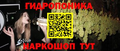 спиды Аргун