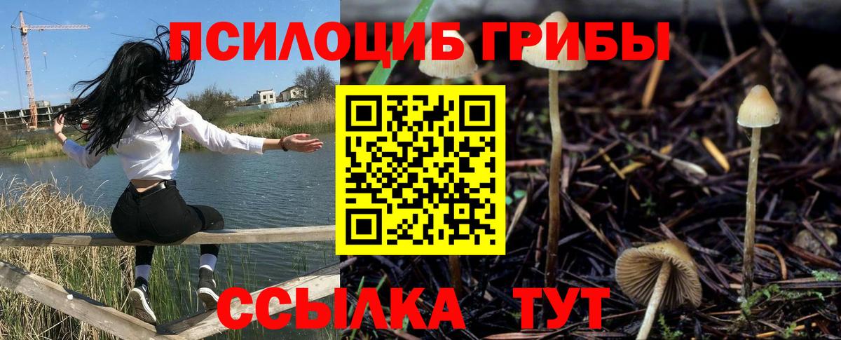 Галлюциногенные грибы ЛСД Анапа