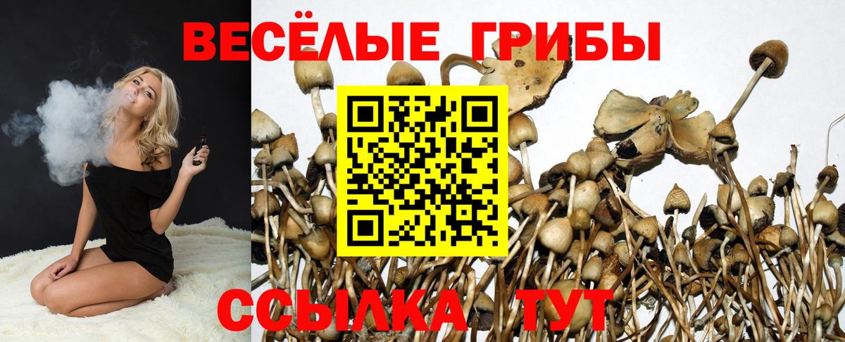 Псилоцибиновые грибы Psilocybine cubensis  Вход с VPN  Анапа  Галлюциногенные грибы Psilocybe 